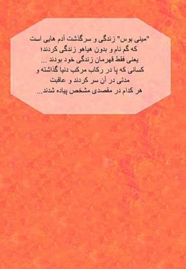 مینی بوس